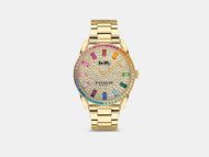 Preston watch, 36 Mm (image via Coach)