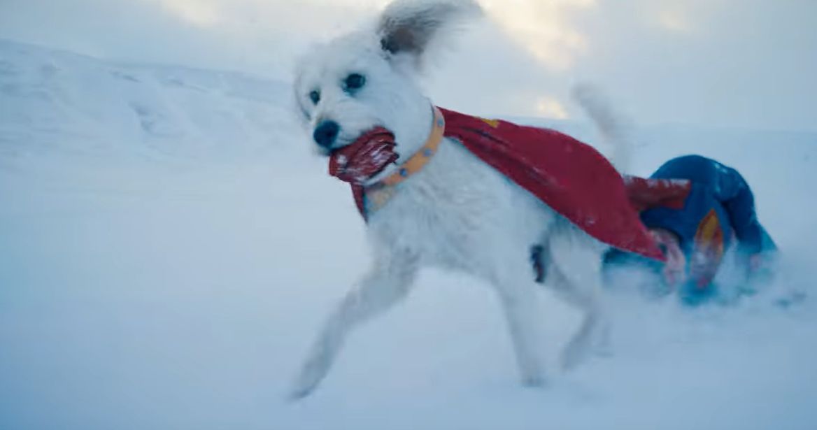 Krypto in Gunn&#039;s Superman | Source: DC on YouTube