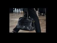 The Row Alligator Bag (Image via Pinterest)