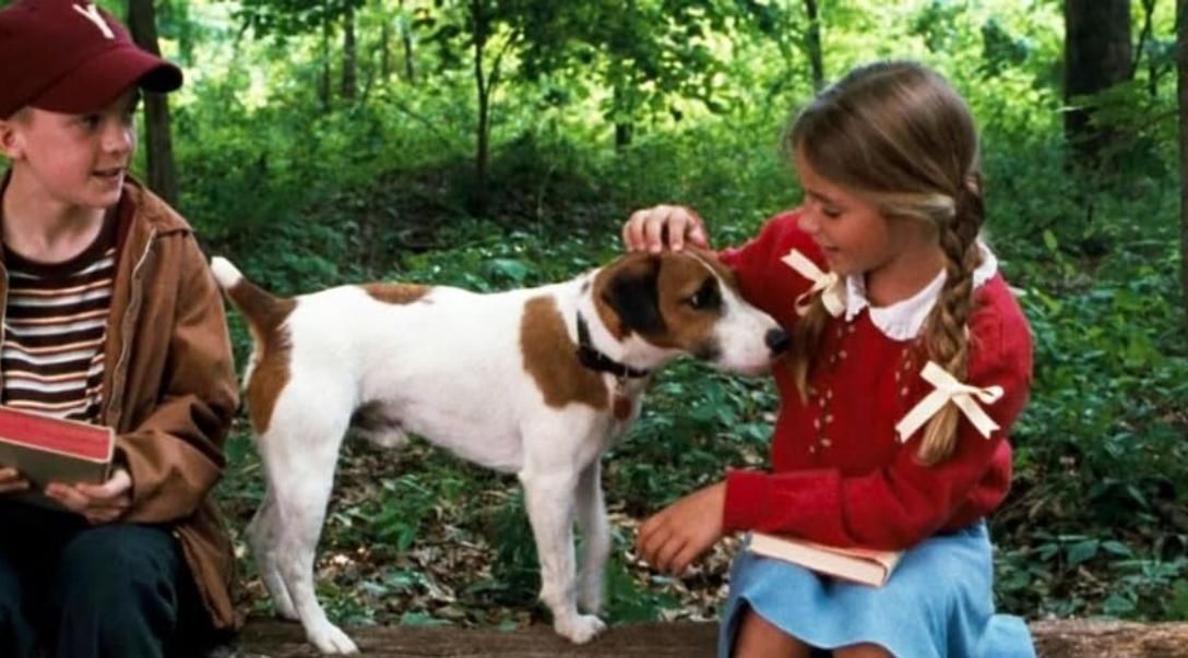 My Dog Skip (2000) | Image Source: Warner Bros. Pictures