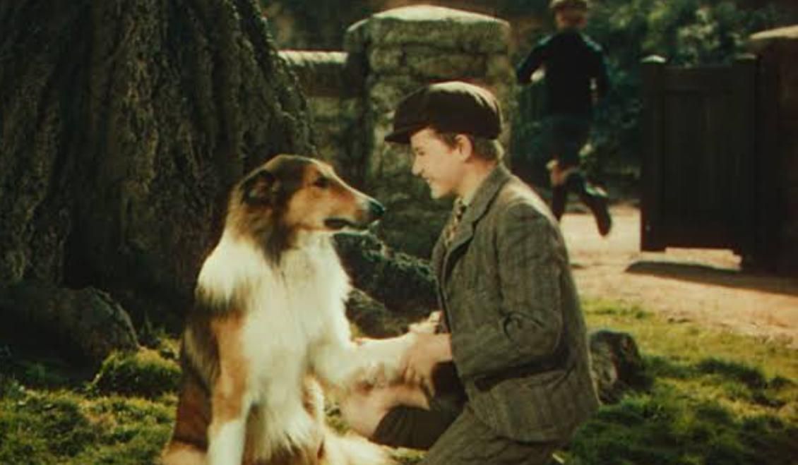 Lassie Come Home (1943) | Image Source: Metro-Goldwyn-Mayer (MGM)