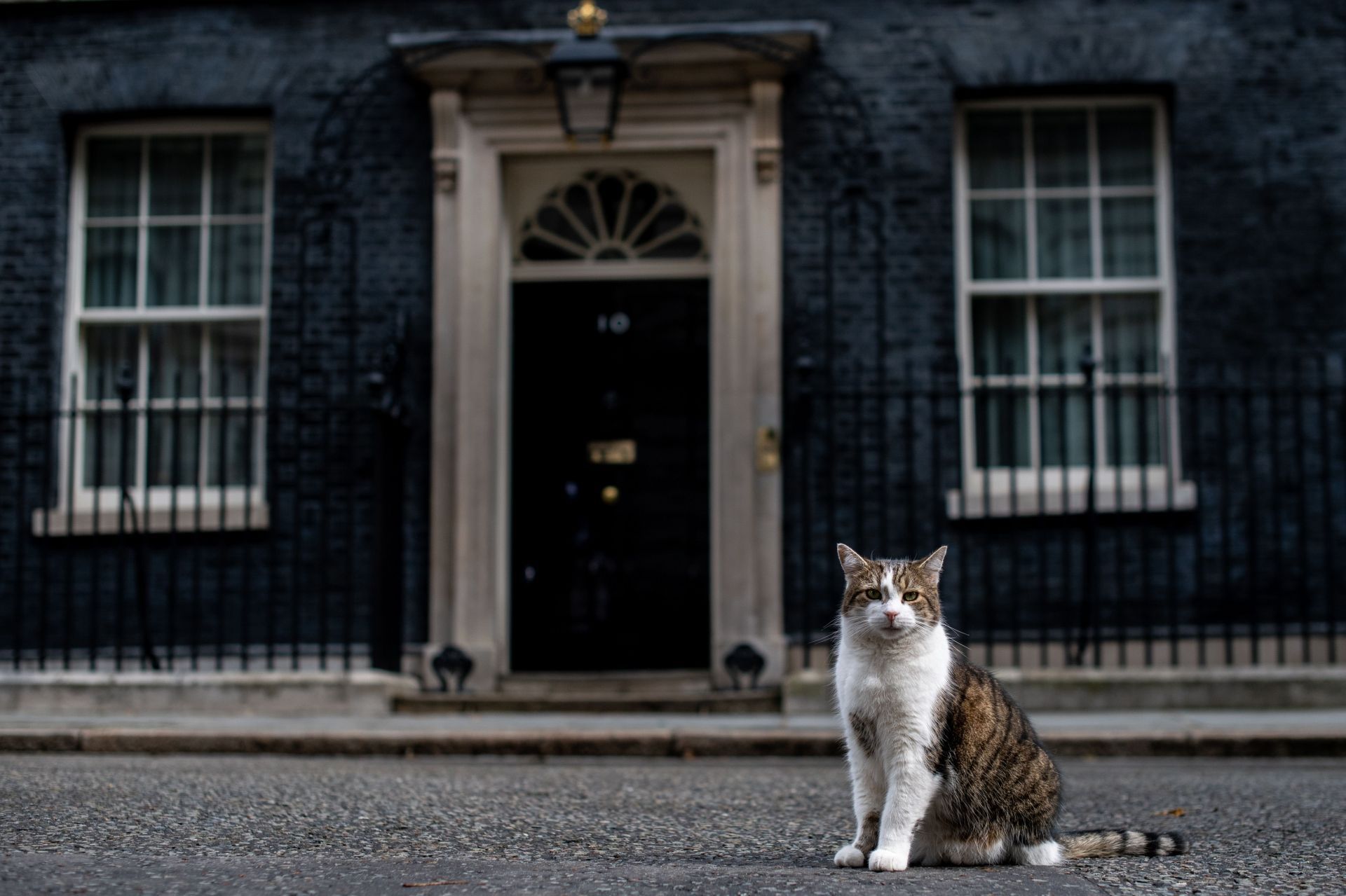 Ministers Attend Cabinet Amid Tory Leadership Race - Source: Getty