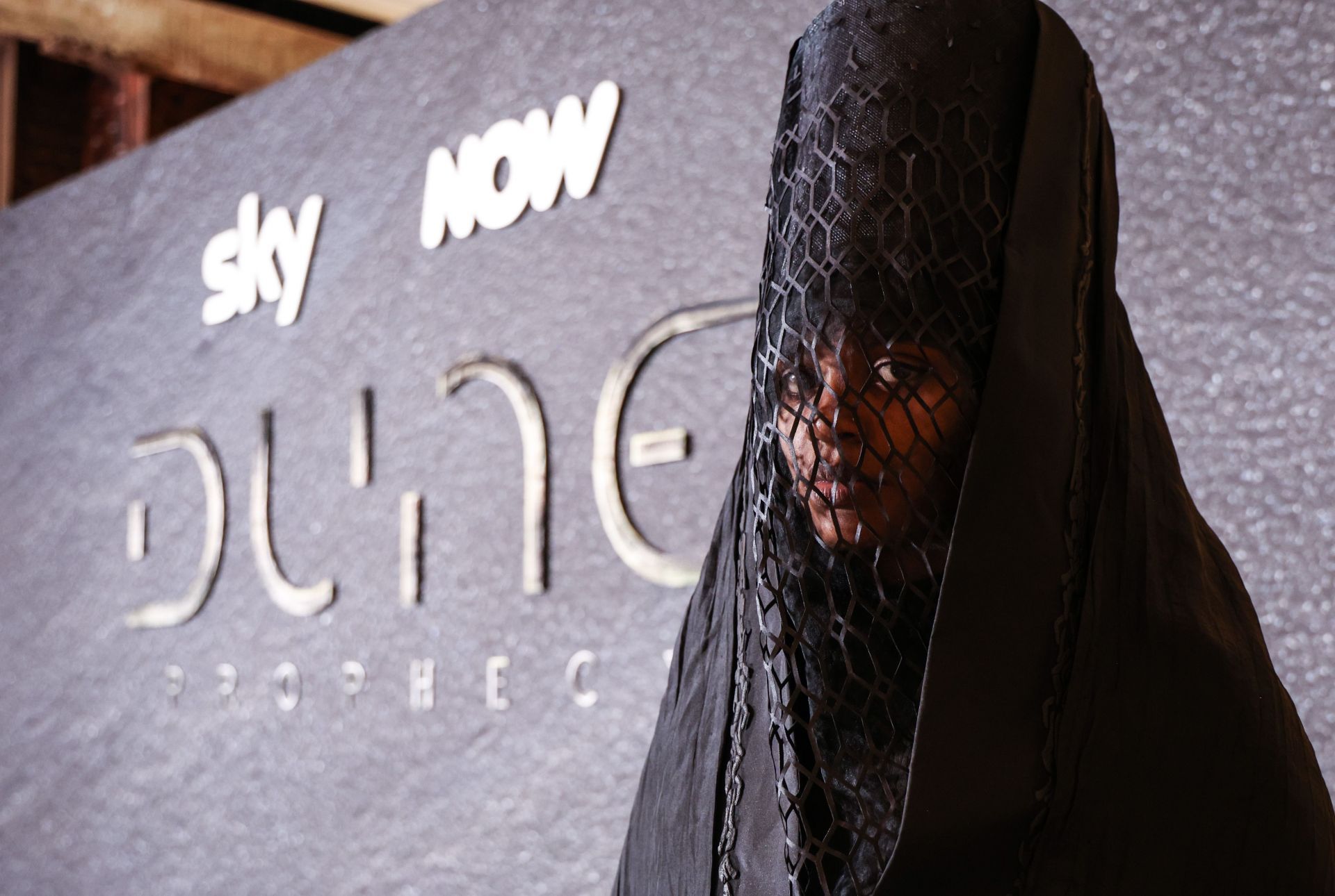 VIP Screening of &quot;Dune: Prophecy&quot; - Source: Getty