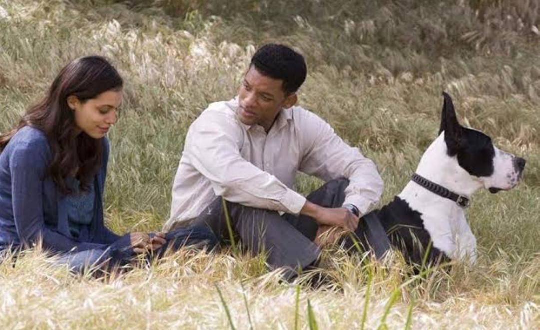 Seven Pounds (2008) | Image via Columbia Pictures