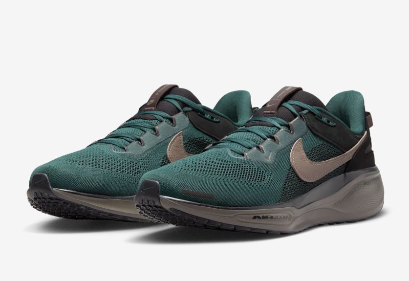 Air Zoom Pegasus 41 Faded Spruce (Image via Nike SNKRS)