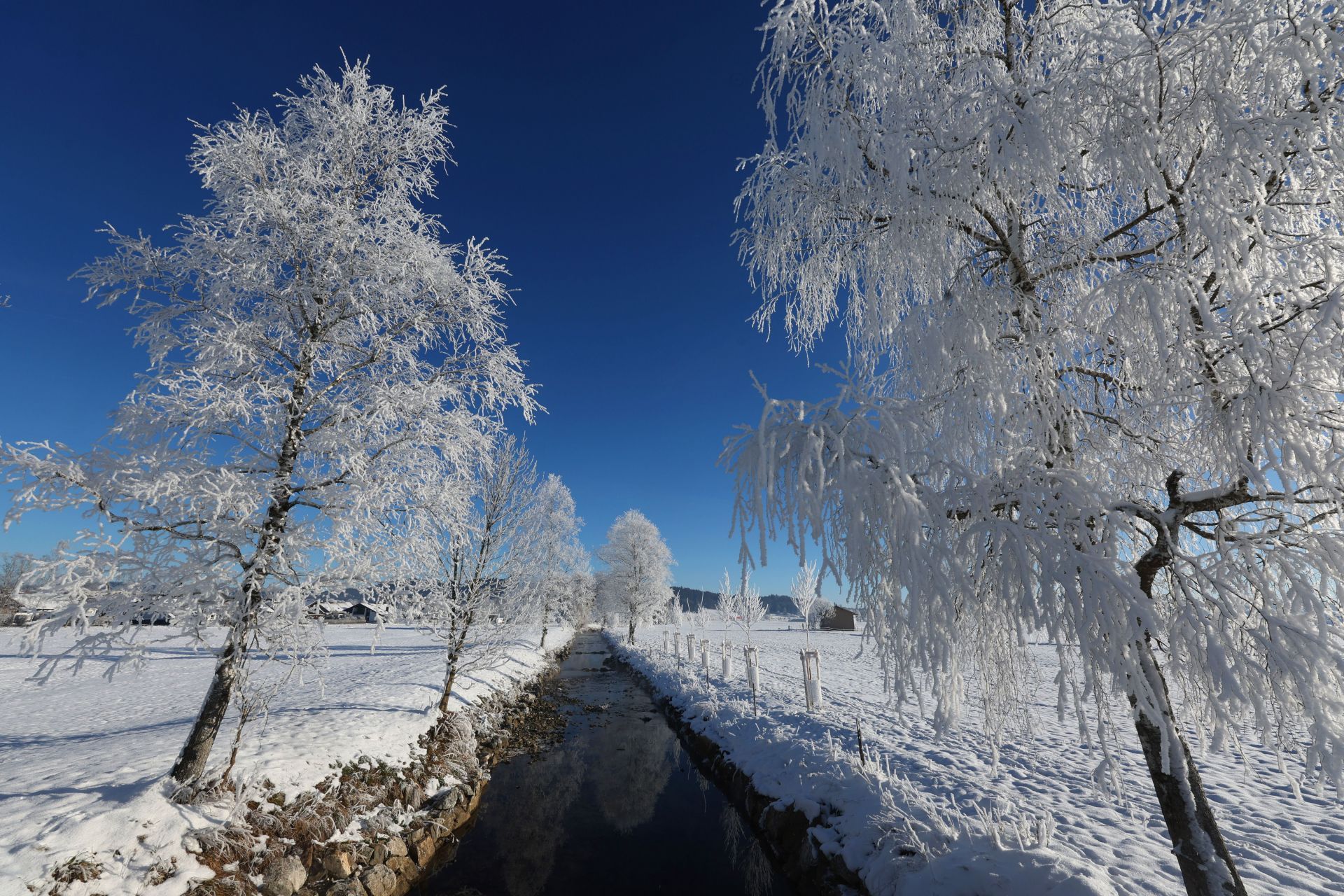 Sun, frost and snow in southern Bavaria - Source: Getty