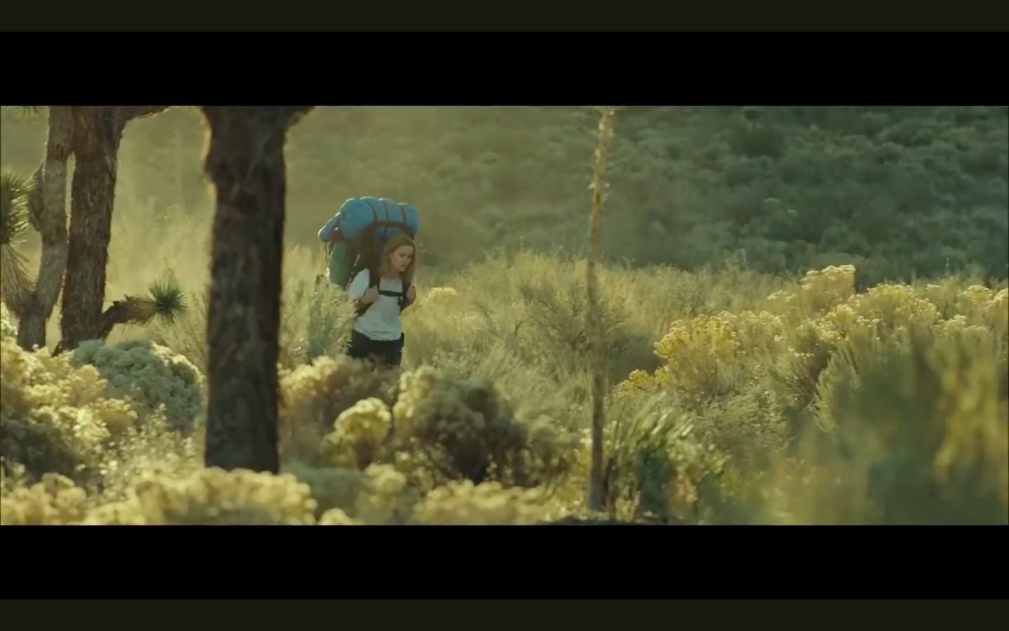 A Still from Wild (Image via YouTube/Searchlight Pictures UK)