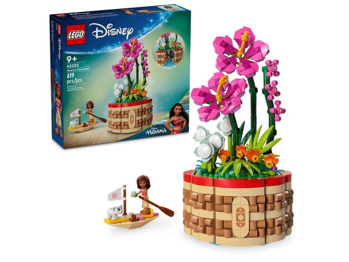 Disney Moana LEGO Set (Image via Target)