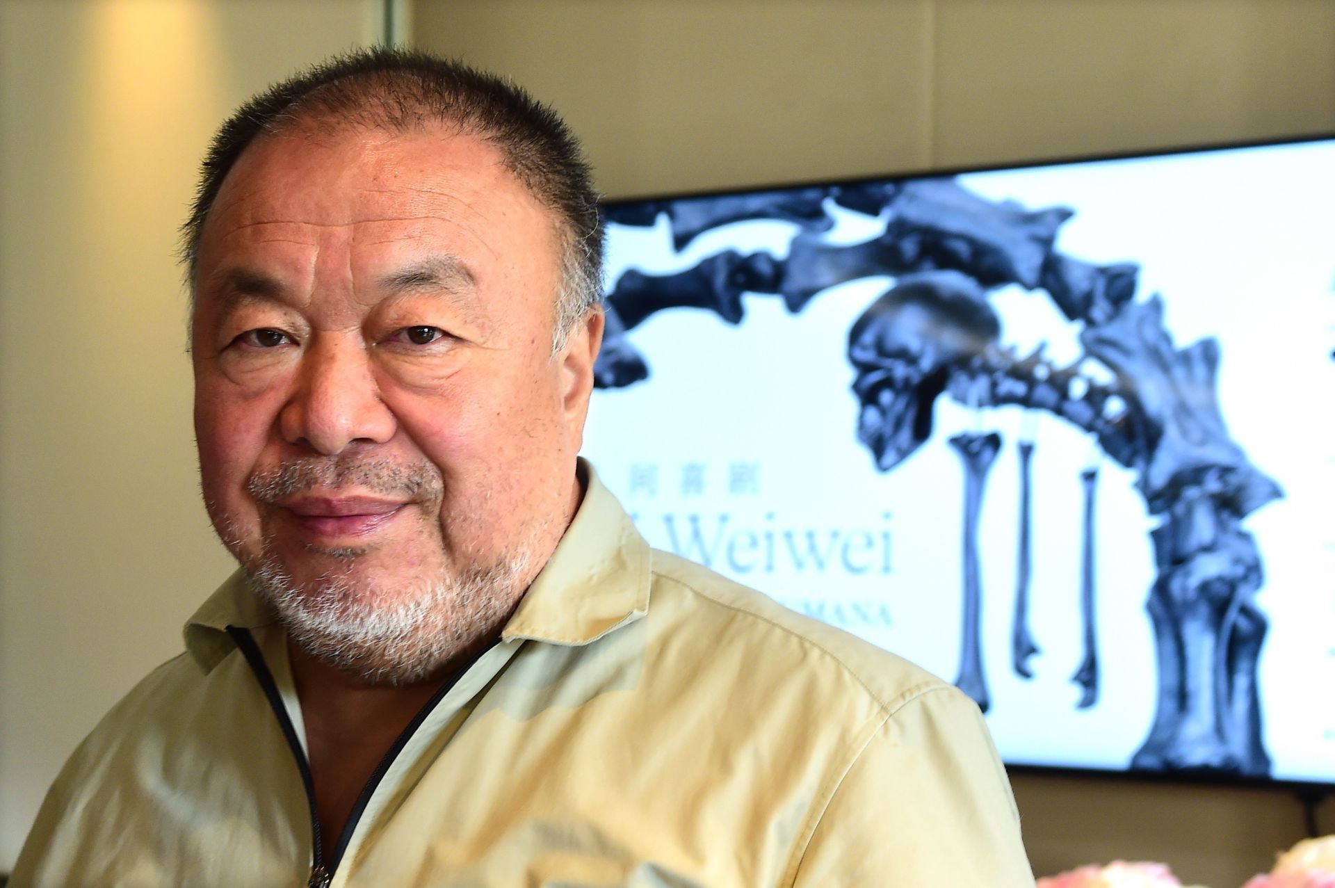 Ai Weiwei (Photo by Roberto Serra/Getty Images)