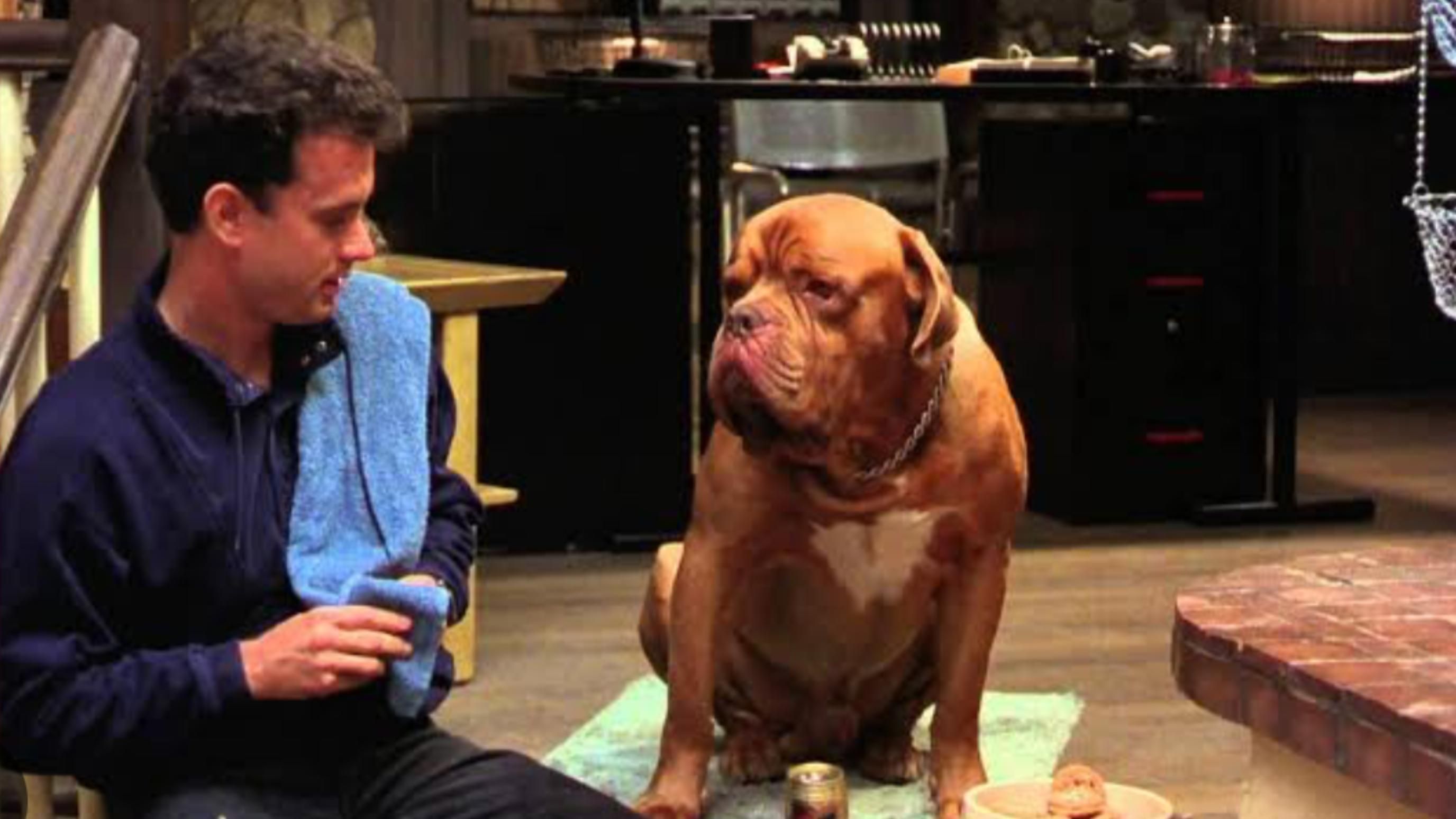 Turner &amp; Hooch (1989) | Image Source: Buena Vista Pictures