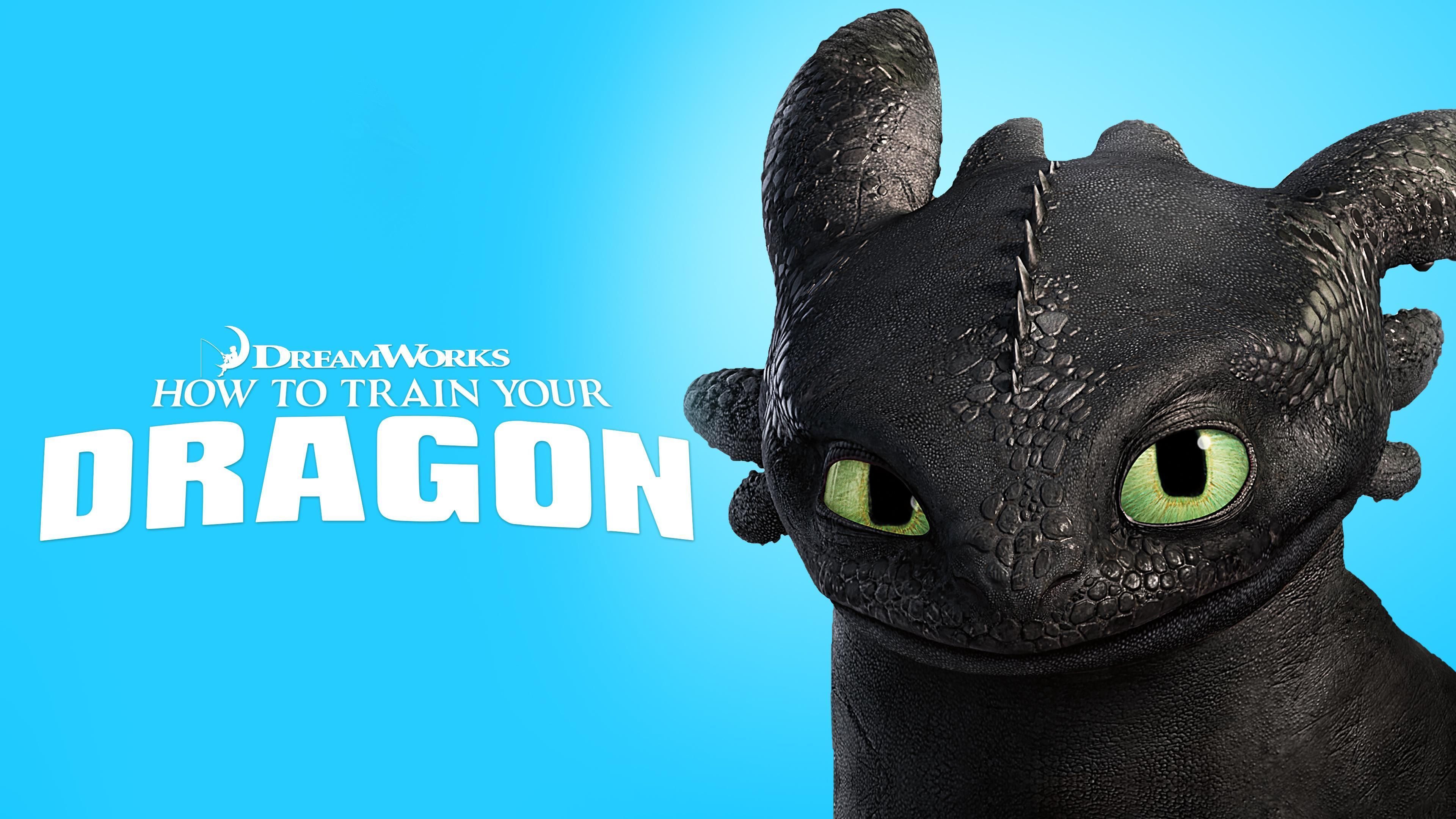 Where to watch How to Train Your Dragon?