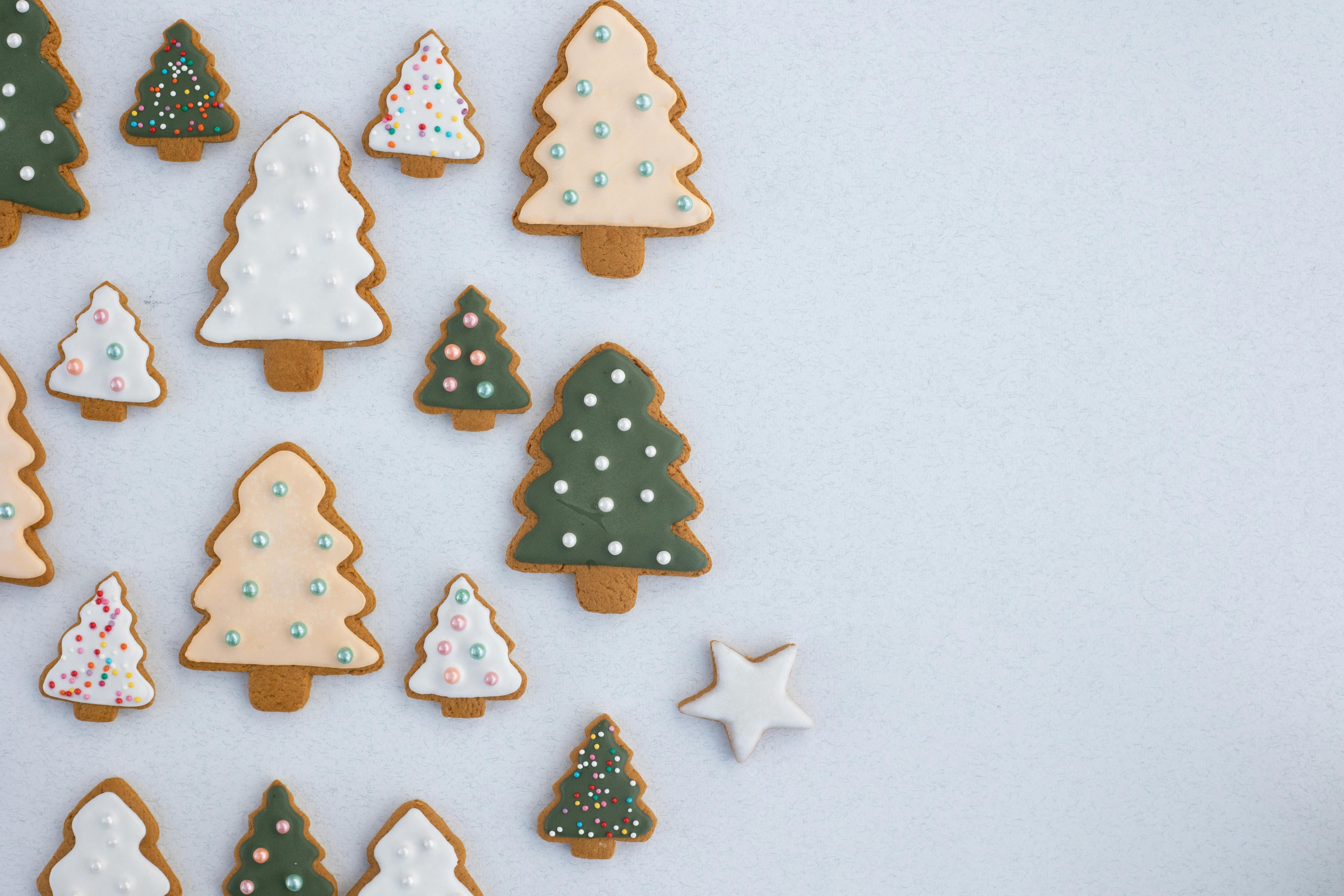 A cup of hot chocolate and cookies is all you need this season. (Image via Pexels/ Ekaterina Bolovstova)