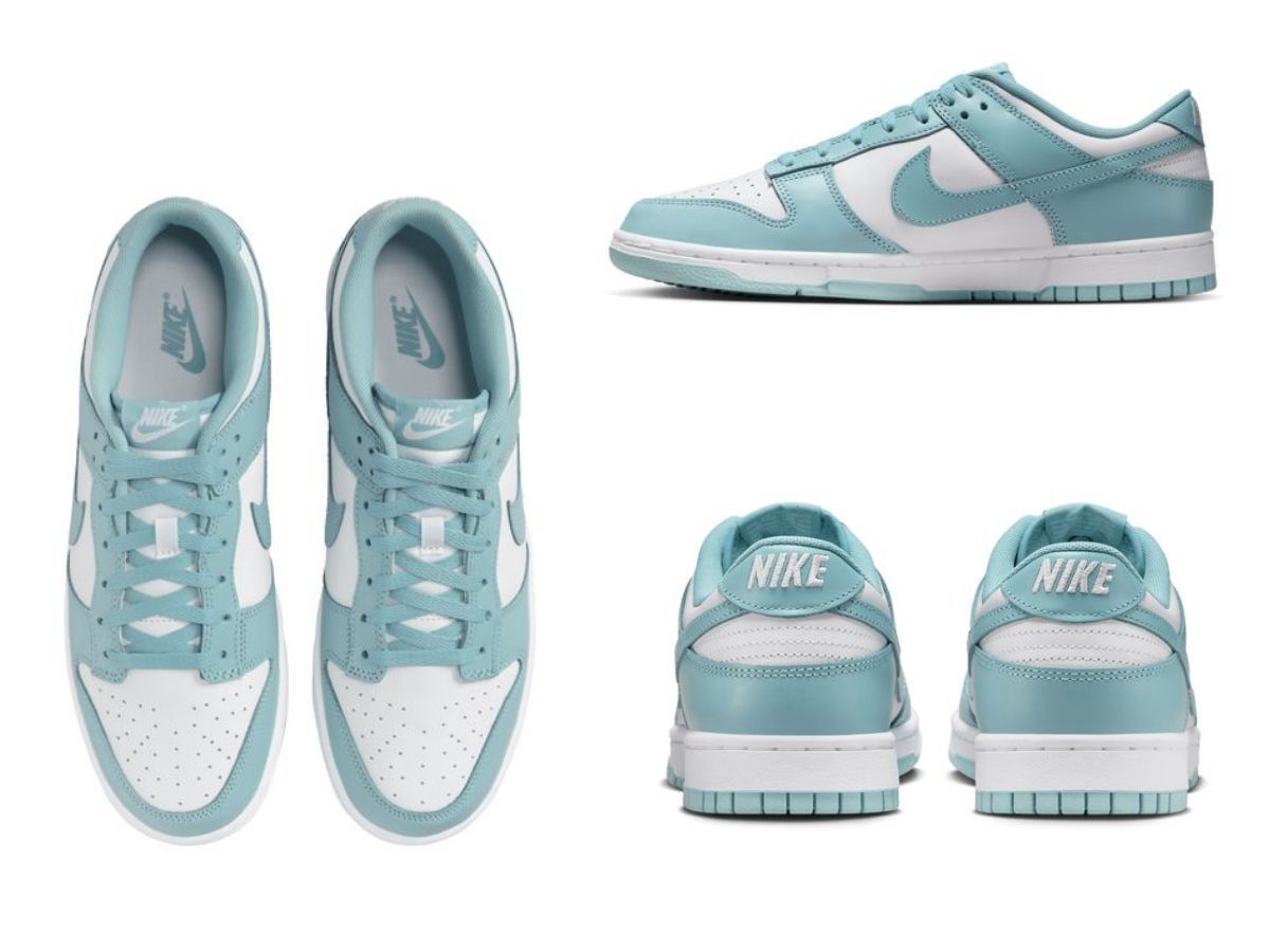 Nike Dunk Low Retro sneakers (image via Footlocker)