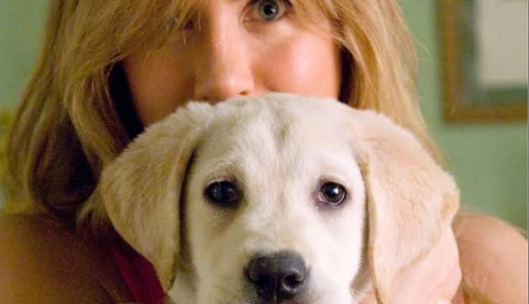 Marley &amp; Me (2008) | Image Source: 20th Century Fox