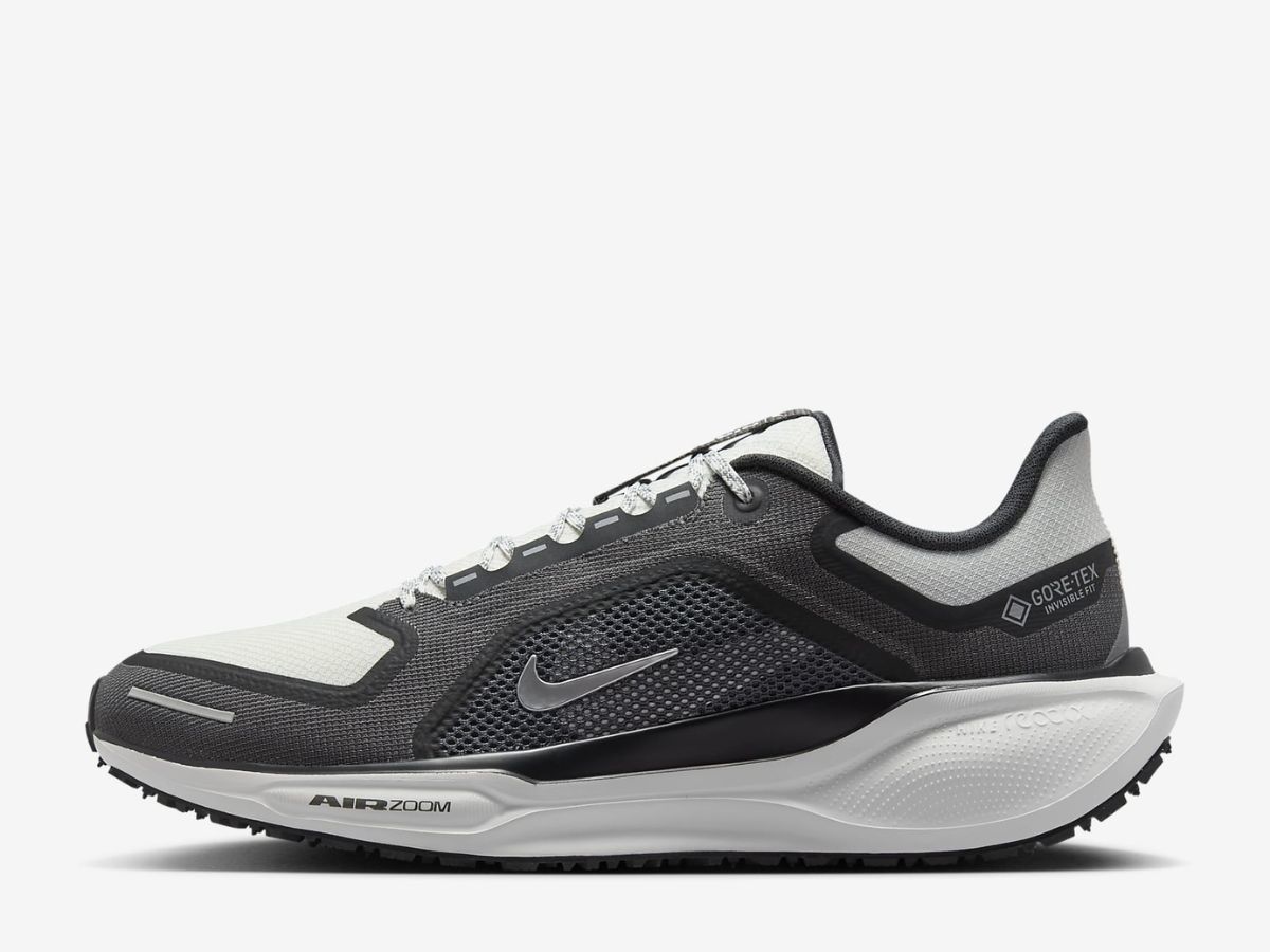 Nike Pegasus 41 GORE-TEX (image via Nike)