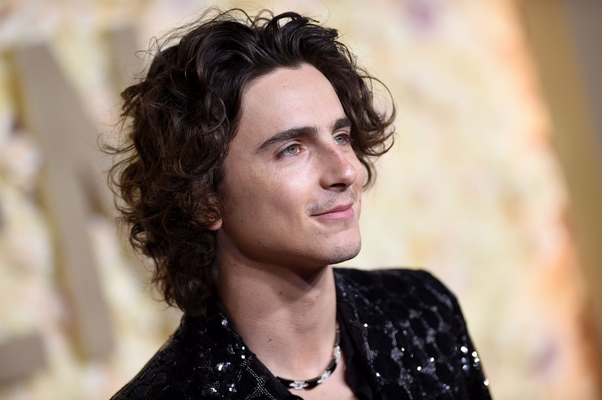 81st Annual Golden Globe Awards - Arrivals - Source: Getty