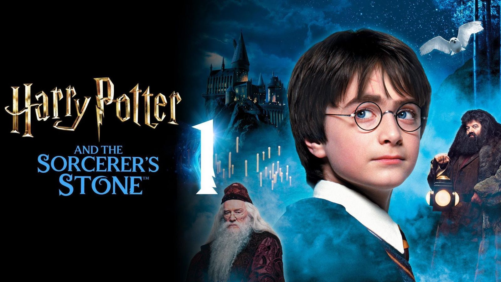 Harry Potter and the Sorcerer's Stone Cast