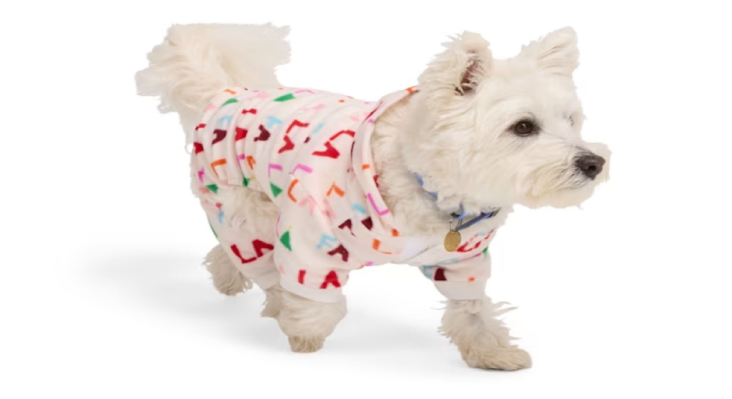 Playsuit (Image via Petco)