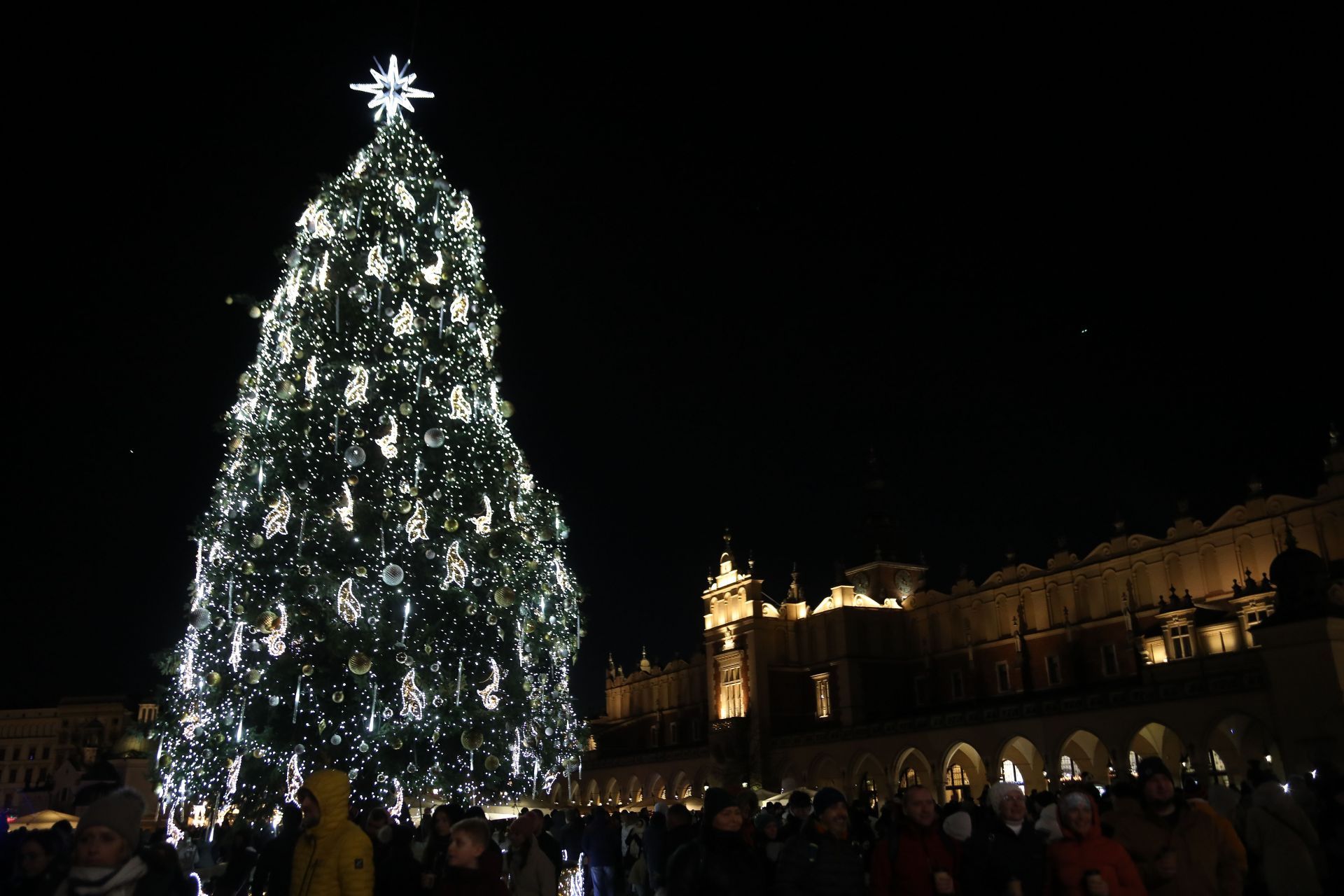 The Most Beautiful Christmas Tree In The World In Krakow - Source: Getty