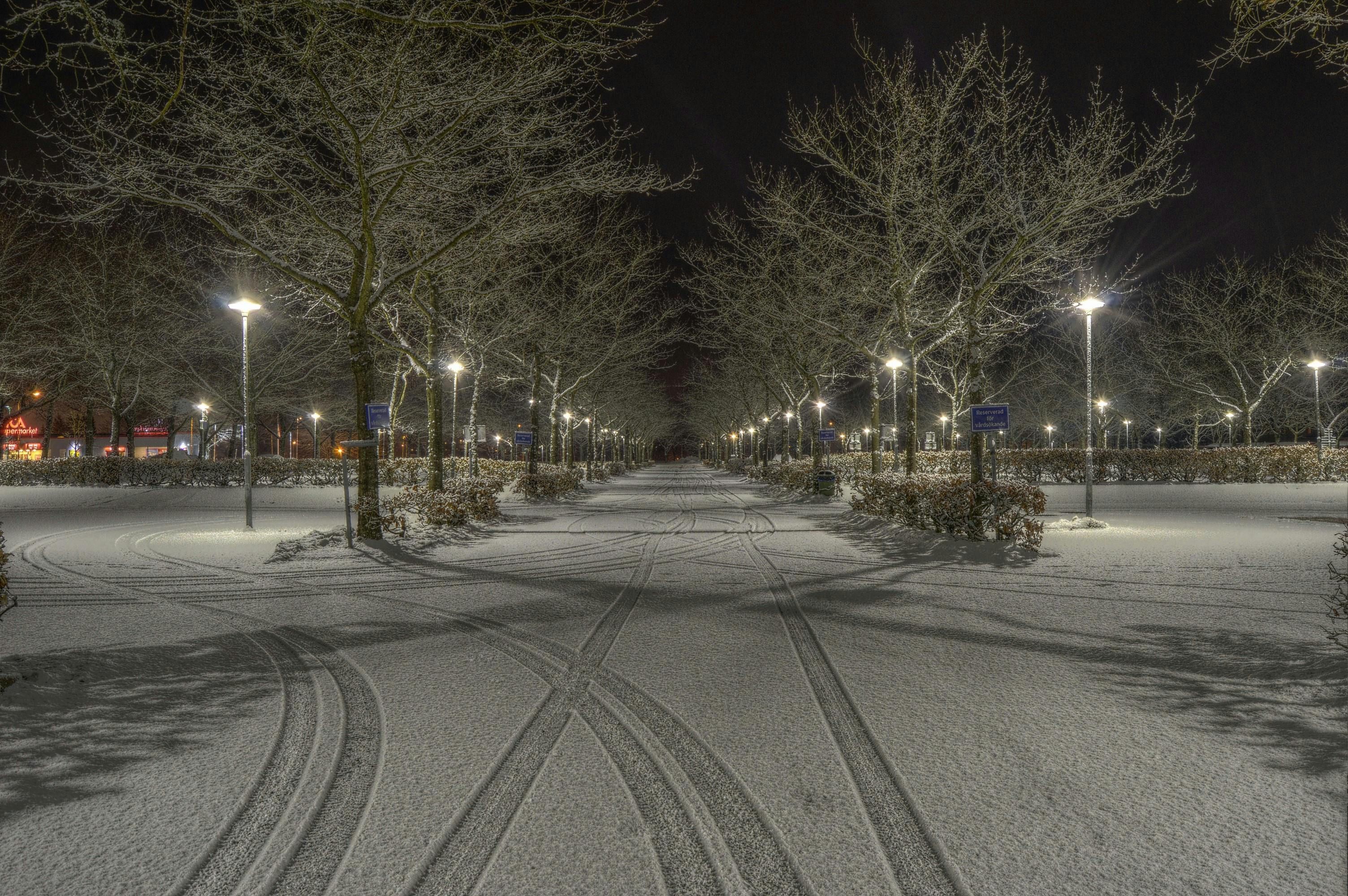 Cleared Road Near Trees and Light Post during Nighttime (Image via Pexels)