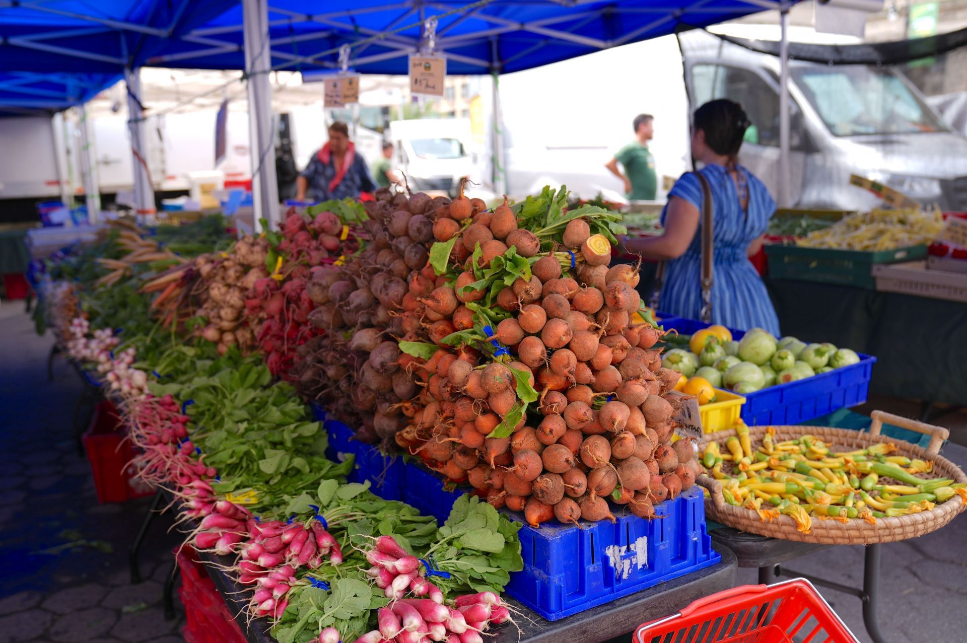 Greenmarket attracts visitors to New York&#039;s famous Union Square - Source: Getty