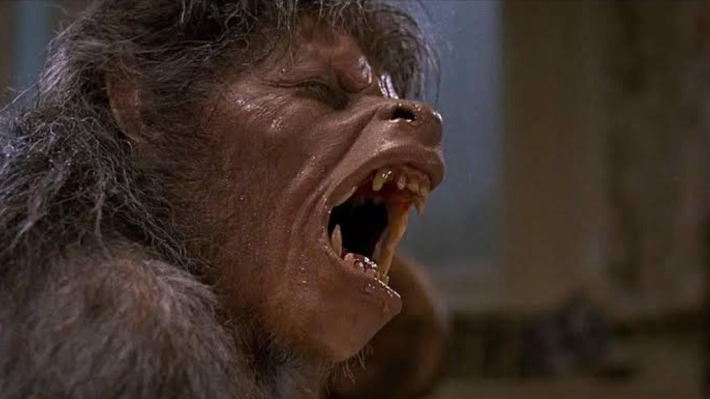 An American Werewolf in London (1981) | Image Source: Universal Pictures