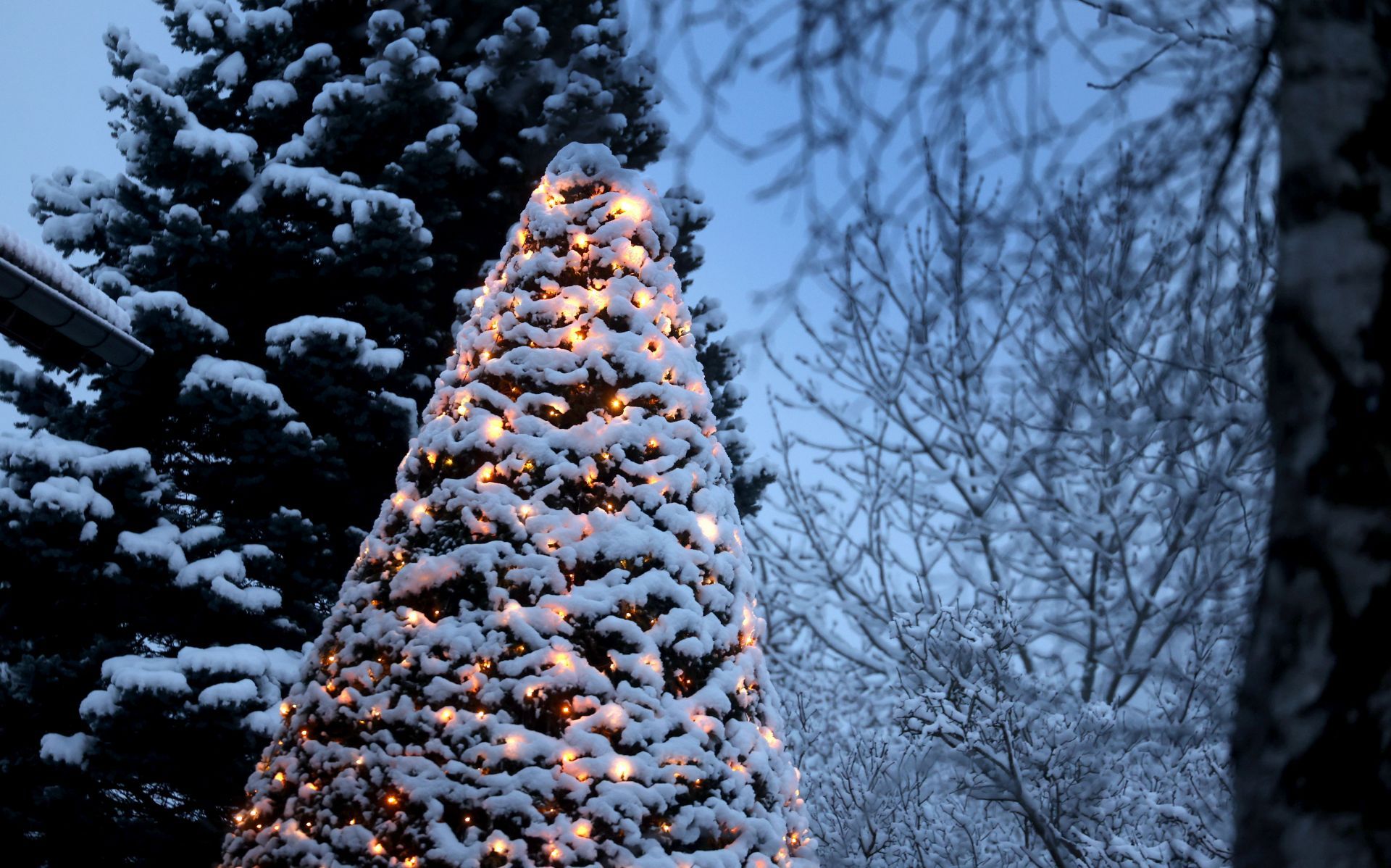 Fresh snow in southern Bavaria - Source: Getty