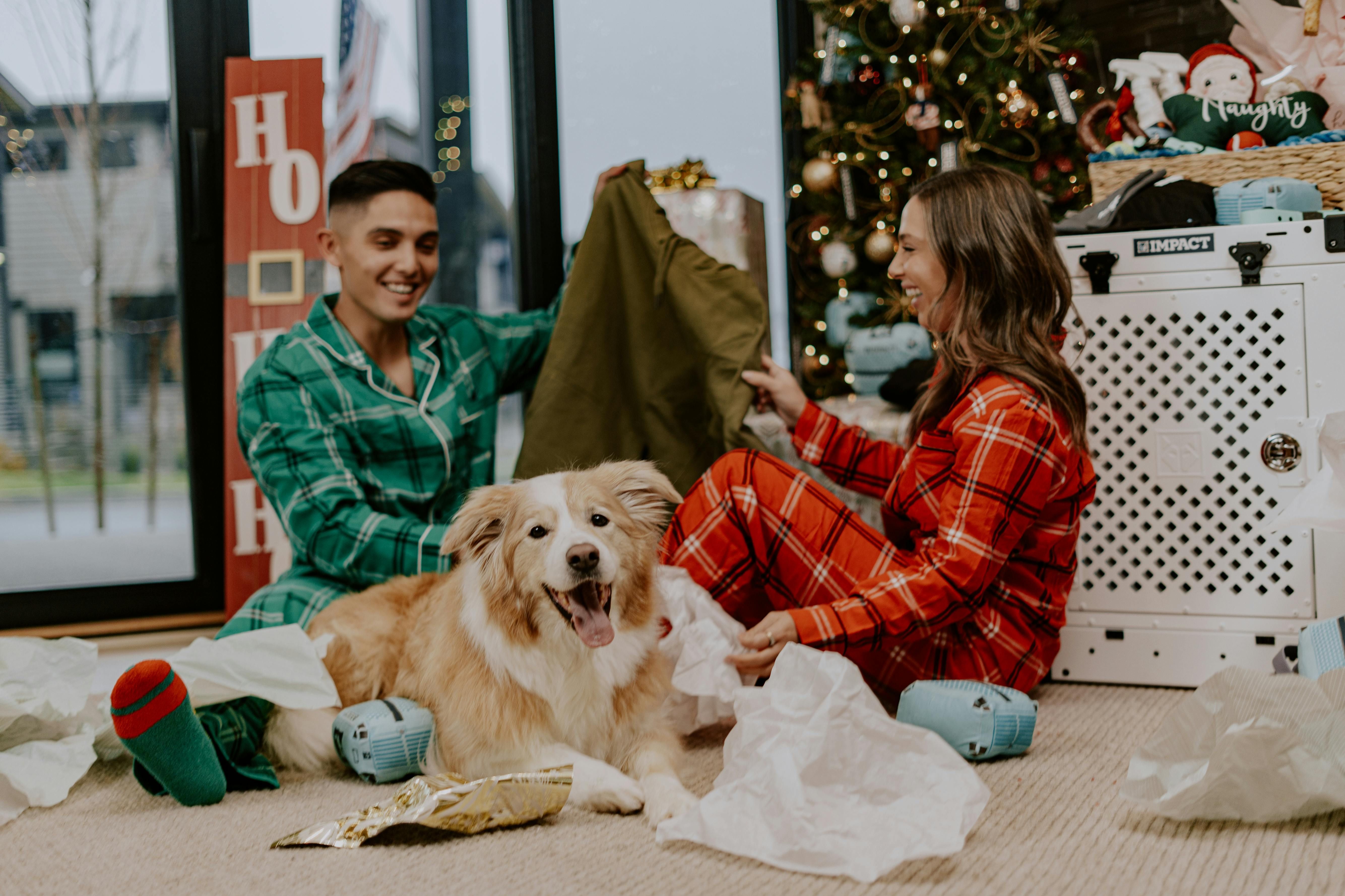 Whether it is last-minute surprises or Secret Santa gifts, online delivery has you sorted. (Image via Pexels/ Impact Dog Crates)