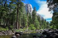Yosemite National Park (Image via Getty / Tayfun Coskun)