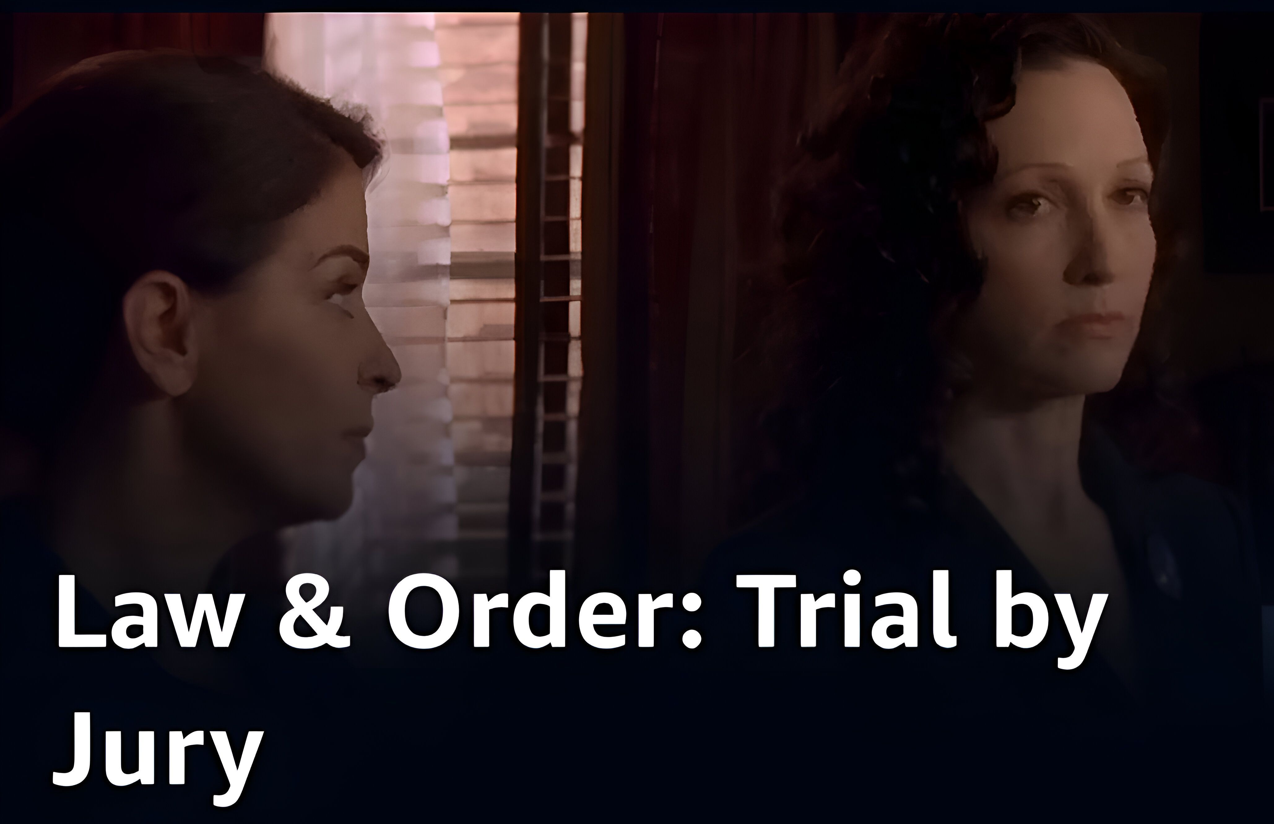 A snippet from the poster of &#039;Law and Order: Trial by Jury&#039; | Image Via: Wolf Films