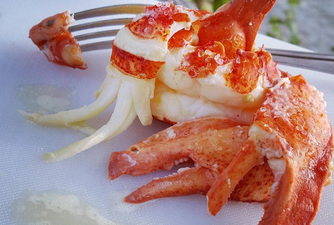 Lobster from Chipman&#039;s Wharf. (Image via Instagram/@chipmanswharf)