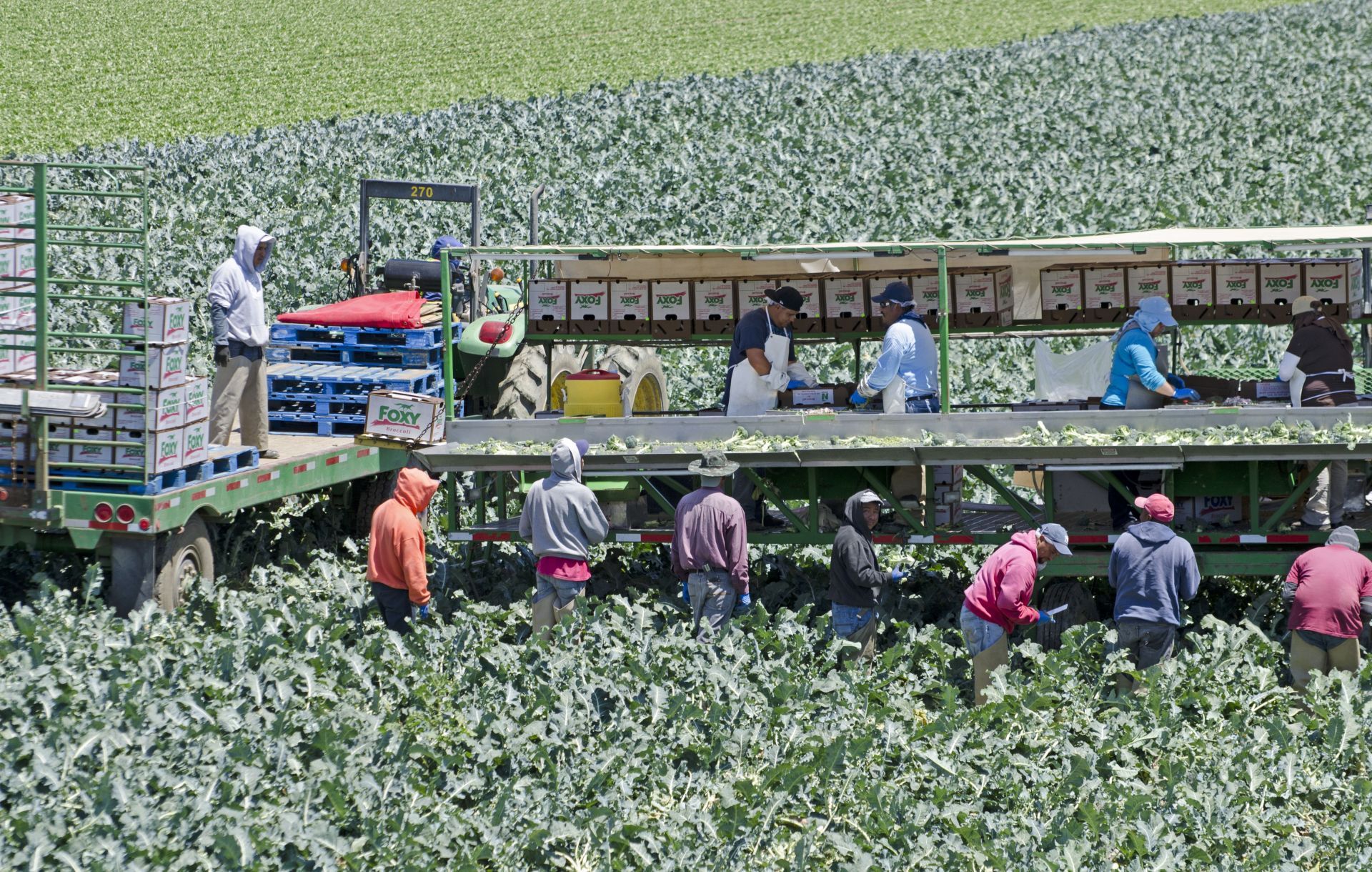 Agriculture Tech - Source: Getty