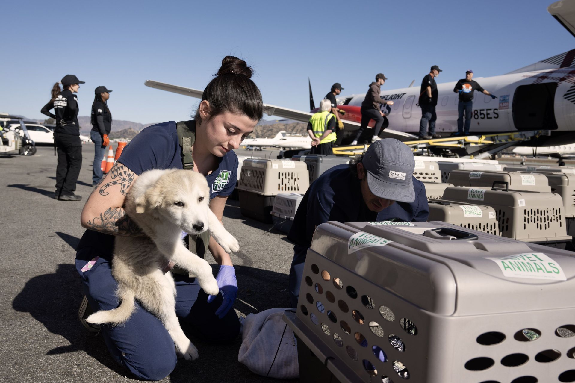 California Wildfires Animals - Source: Getty