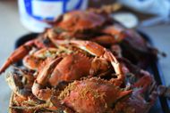 Weekend section' cover story and guide to Maryland crabs - Source: Getty