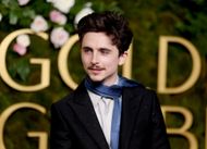 Timothée Chalamet at the 82nd Annual Golden Globe Awards (Image via Getty)