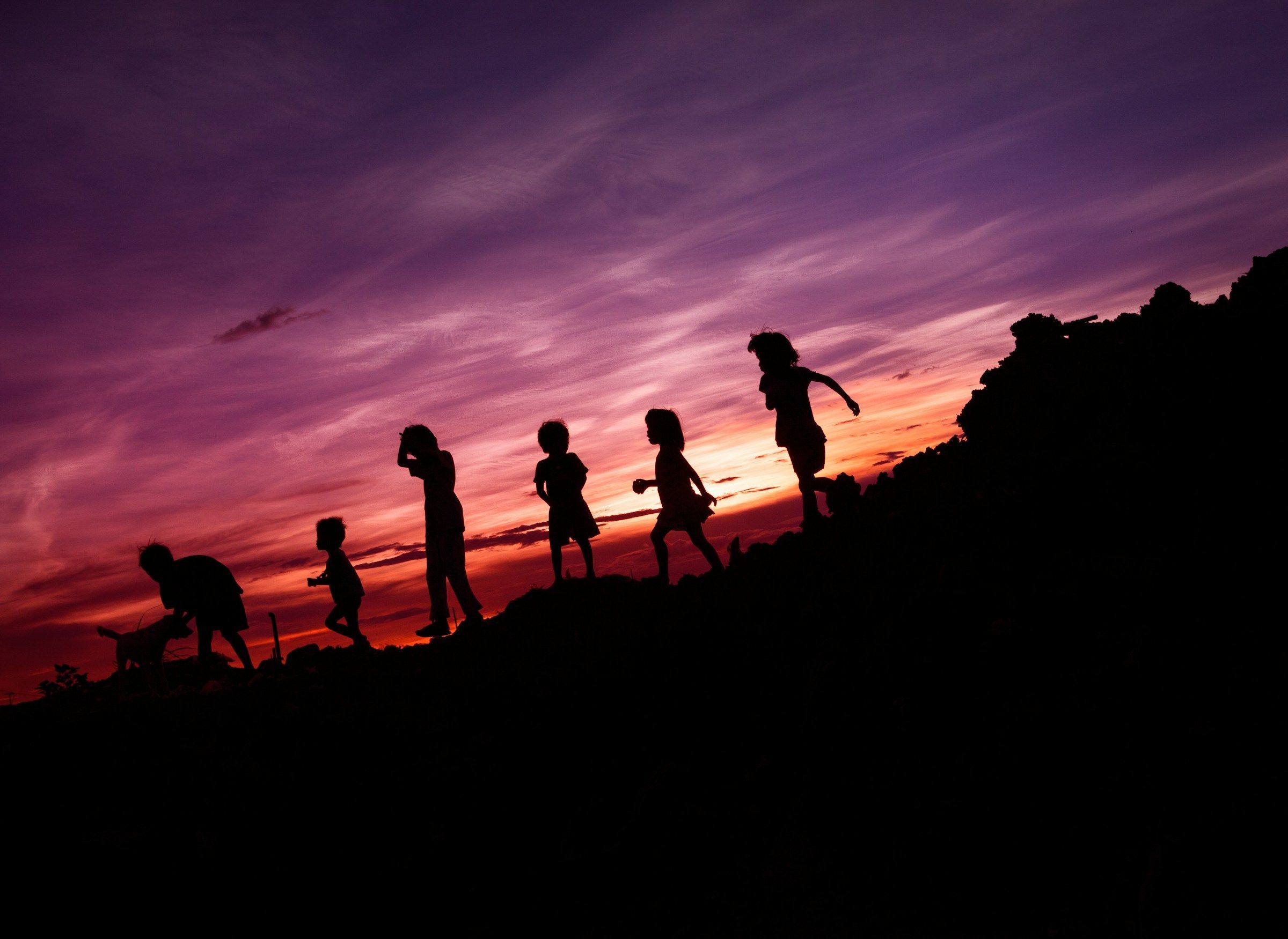 Representational image (Image via Unsplash/@Rene Bernal)