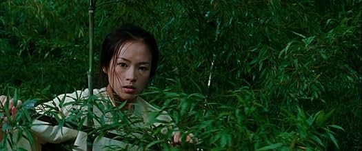 Crouching Tiger and the Hidden Dragon | Image via Prime Video