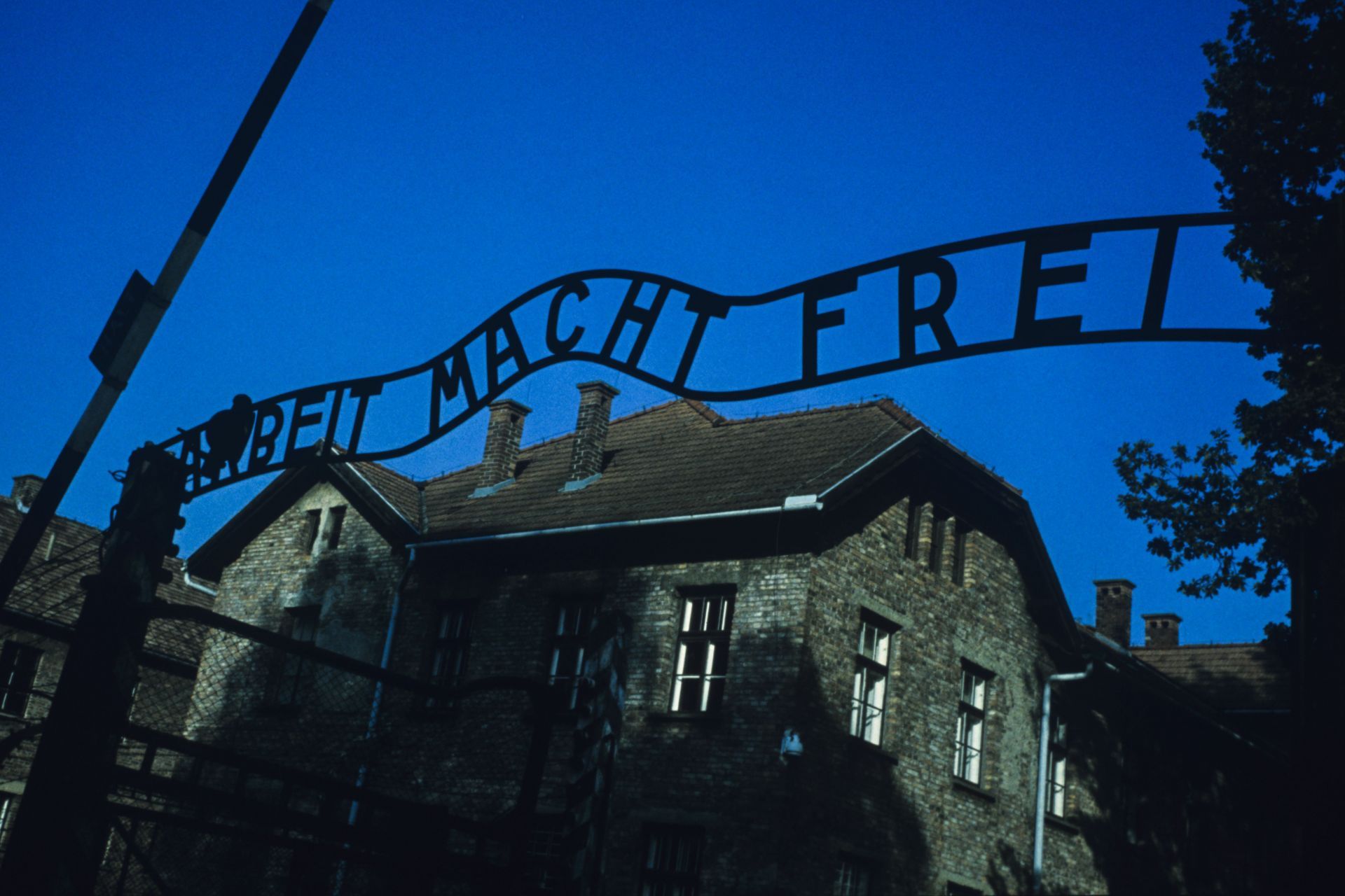 Auschwitz concentration camp, Poland - Source: Getty