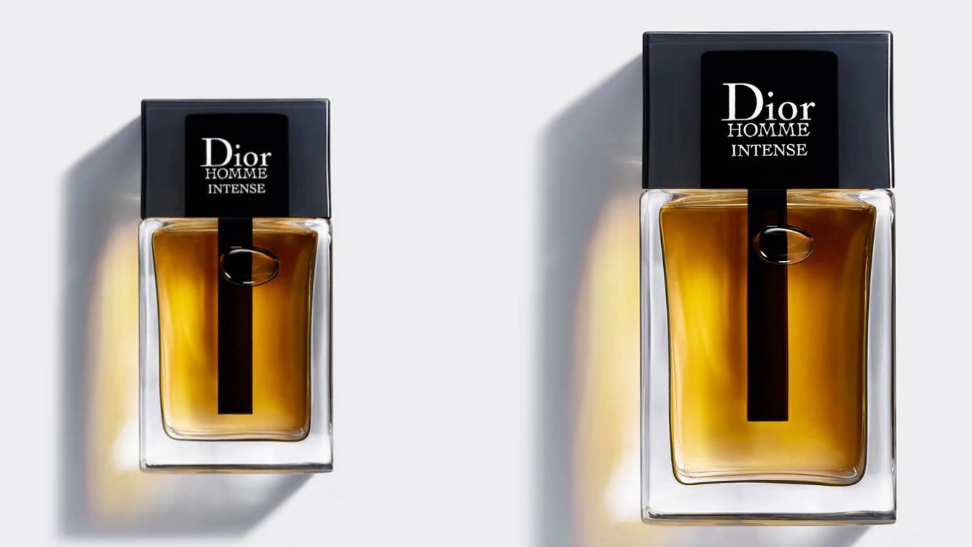 Dior Homme Intense (Image via Dior)