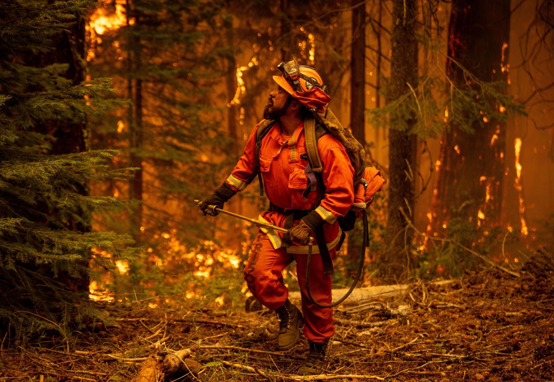 Park Fire Grows In Size Sparking New Evacuation Orders - Source: Getty