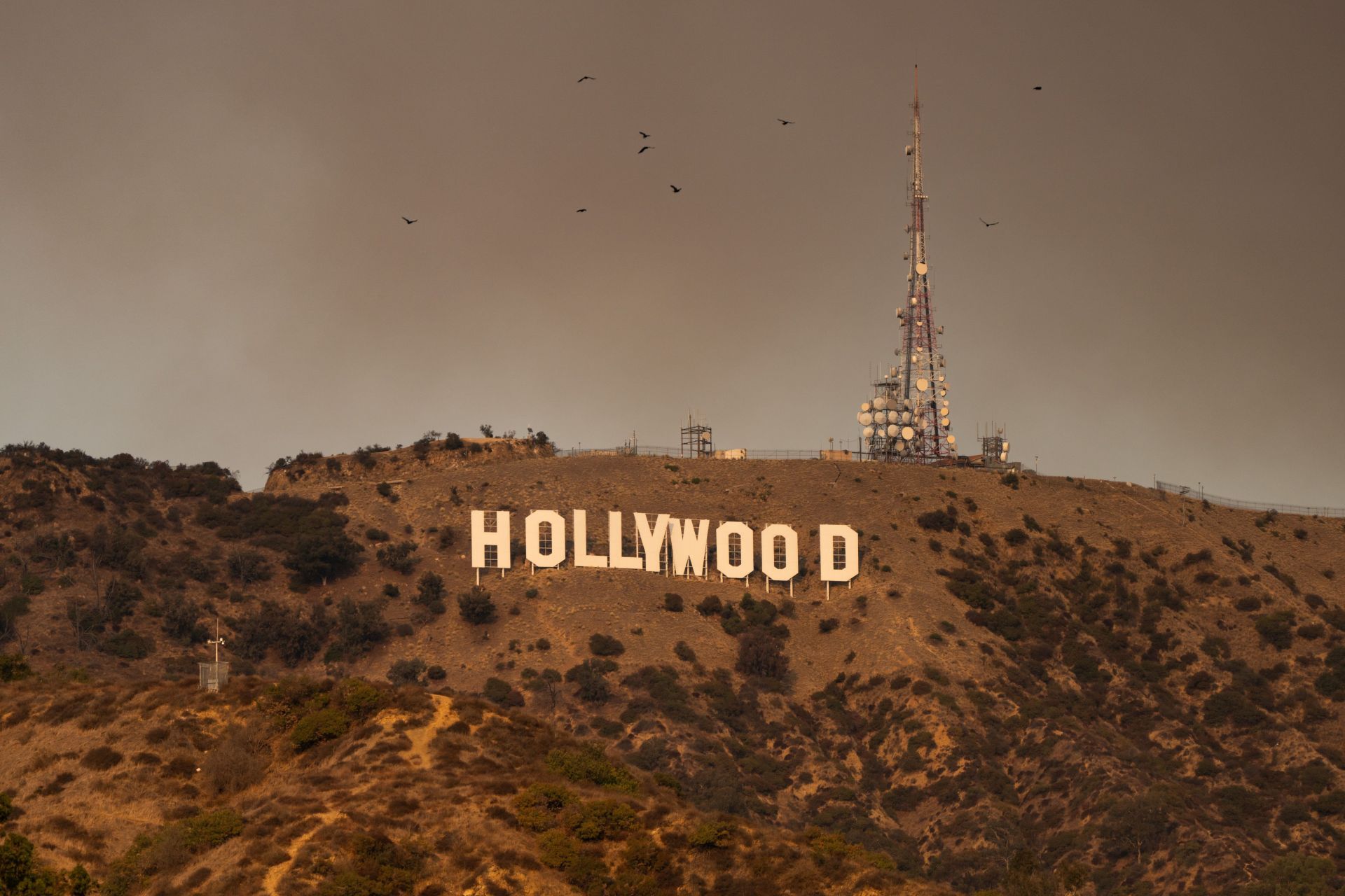 Hollywood Exteriors And Landmarks - 2025 - Source: Getty