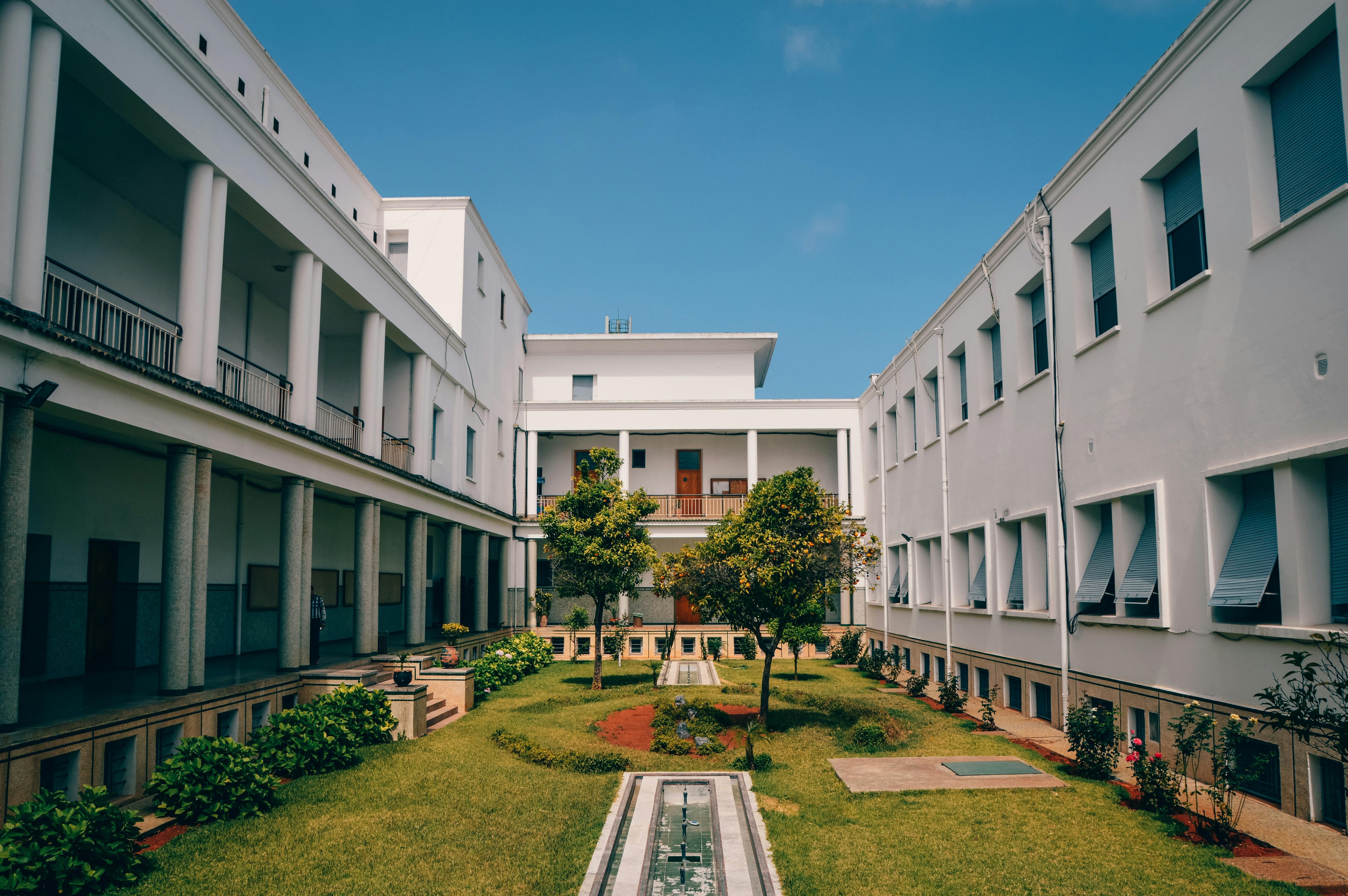 Green Trees Between White Concrete Buildings (Image via Pexels)