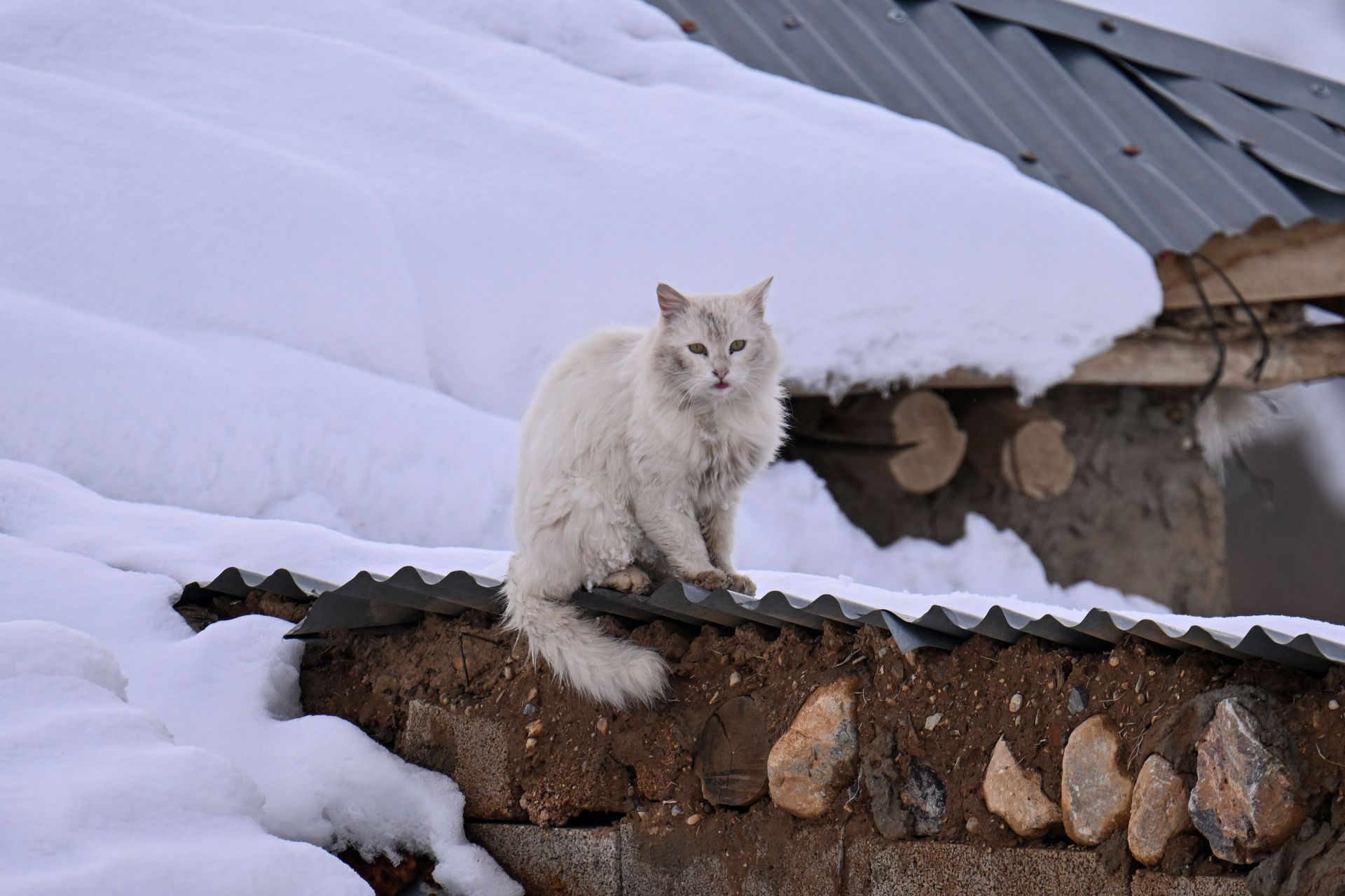 Snowfall affects in the rural neighborhoods in Turkiye