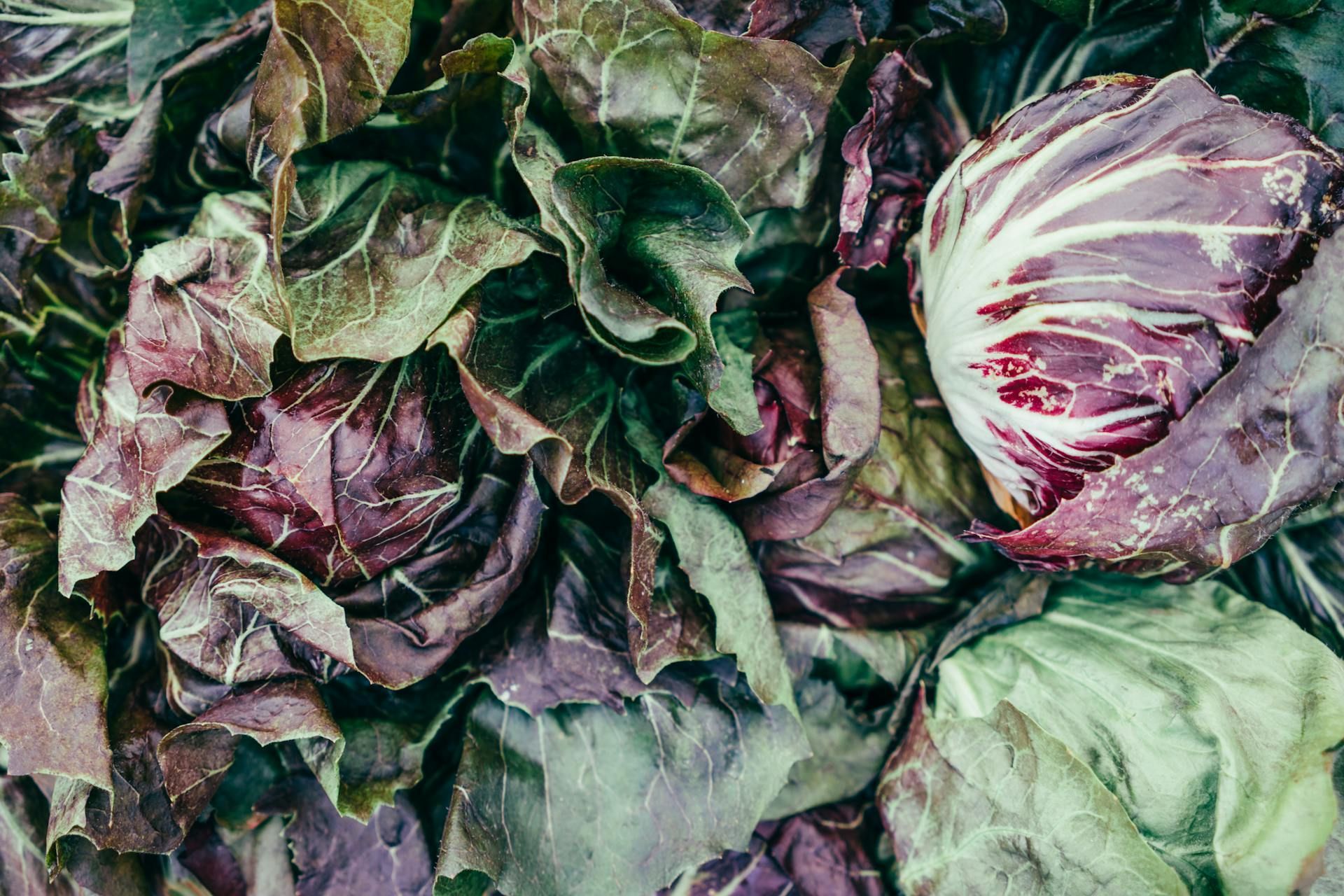 Cabbage salad is popular at Turkey &amp; The Wolf (Image via Pexels/@Sergei A)