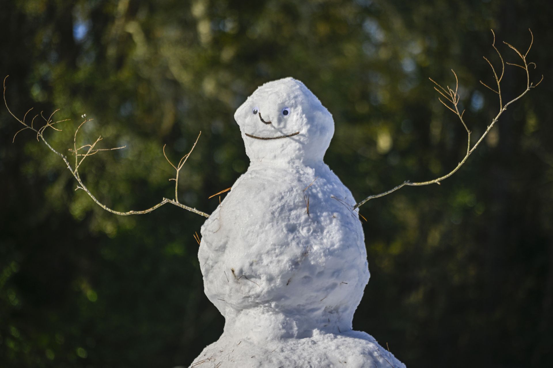 Large Winter Storm Brings Rare Snowfall To Large Swath Of Southern States - Source: Getty