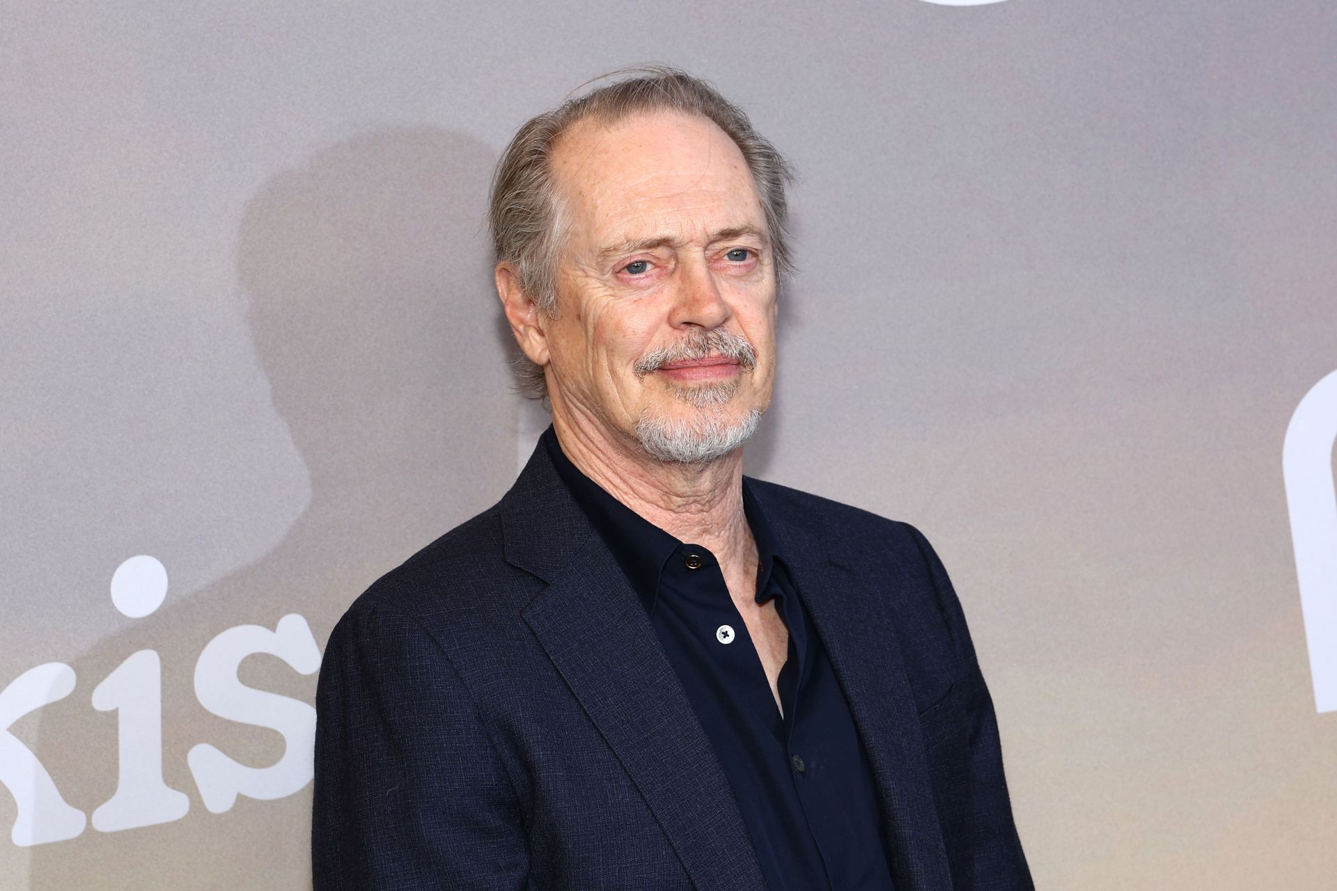 Steve Buscemi (Photo by Arturo Holmes/WireImage)