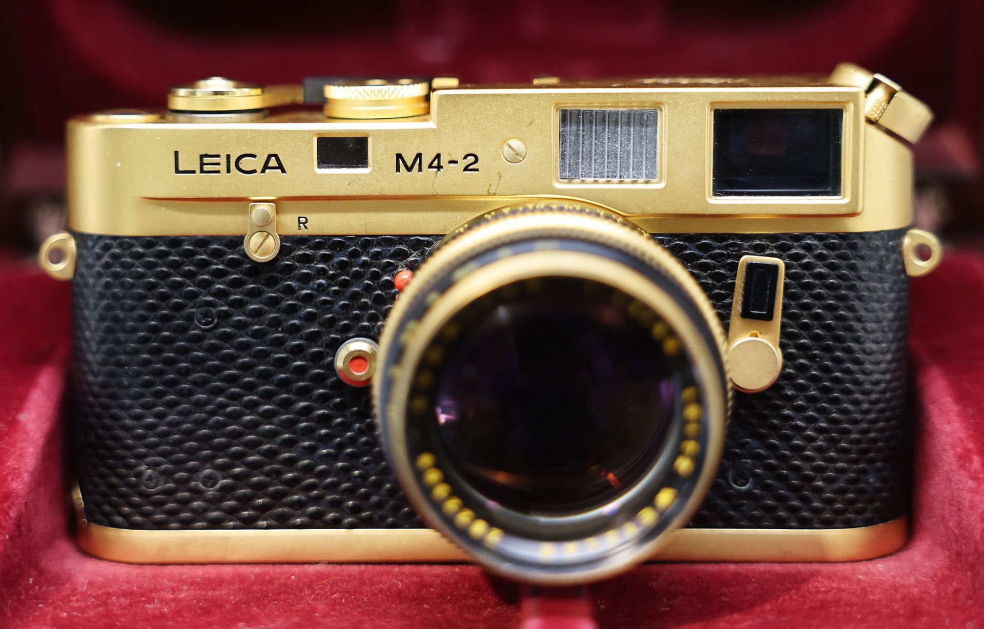 Leica Camera Company Reports Best Yearly Revenue In Company