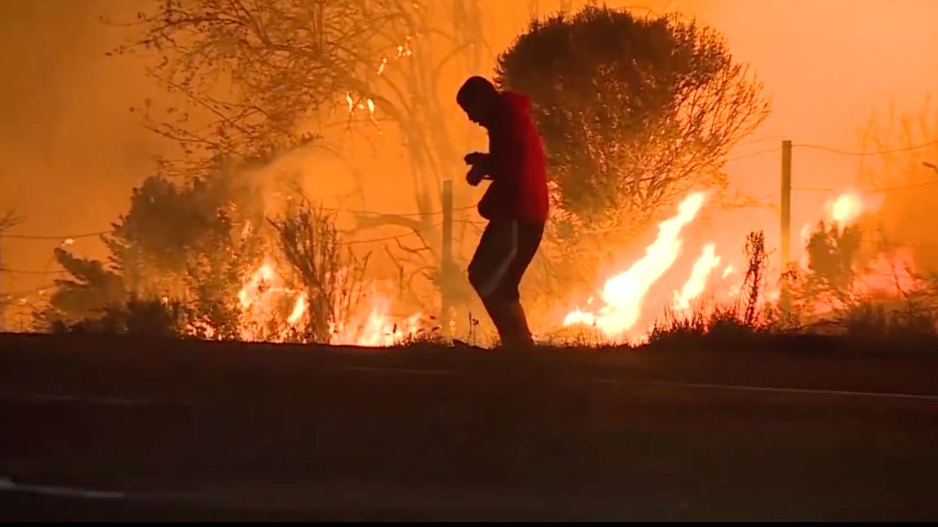 Man saving the rabbit (Image via YouTube/ BBC News)