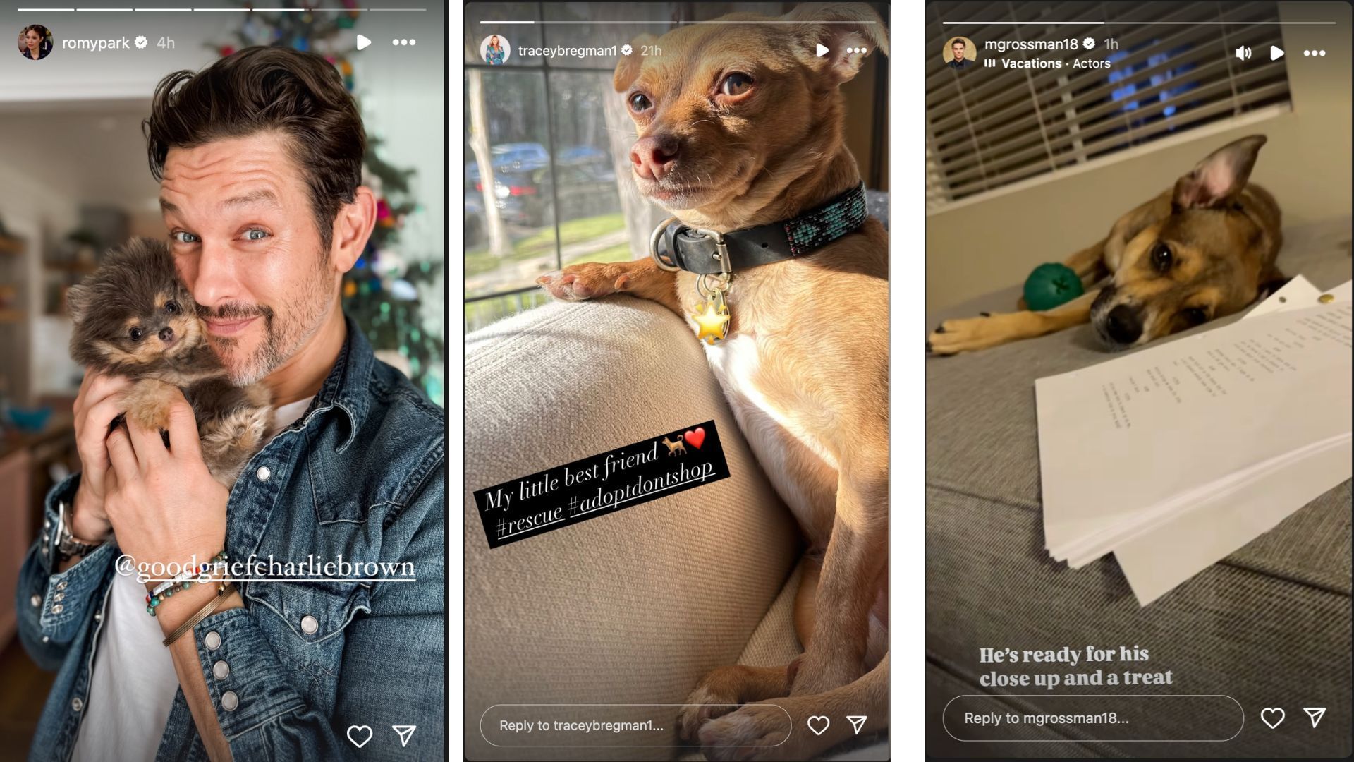 The Young and the Restless: CBS stars and their pets | Image: Instagram