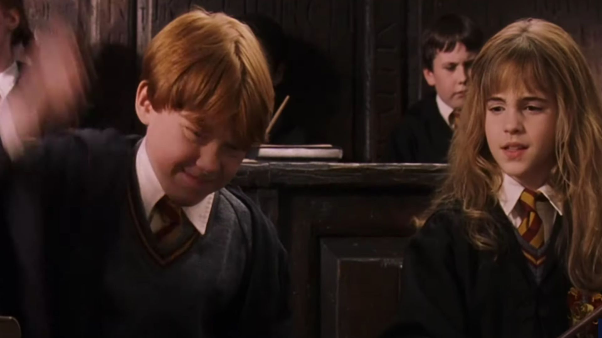 Ronald Weasley and Hermione Granger | Image Via: Warner Bros. Pictures